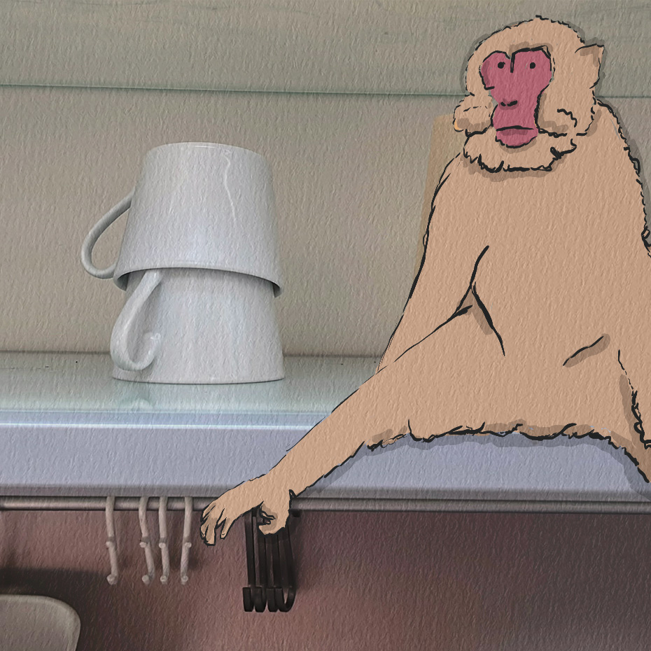 illustration_chez_mawie_demenagement-SINGE